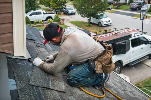Professional Roof Replacement technician working in Edelstein, IL